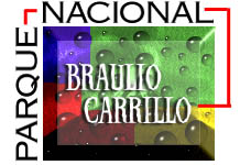 Braulio Carrillo National Park