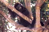 National Parks of Costa Rica