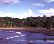Tourist Projects in Costa Rica